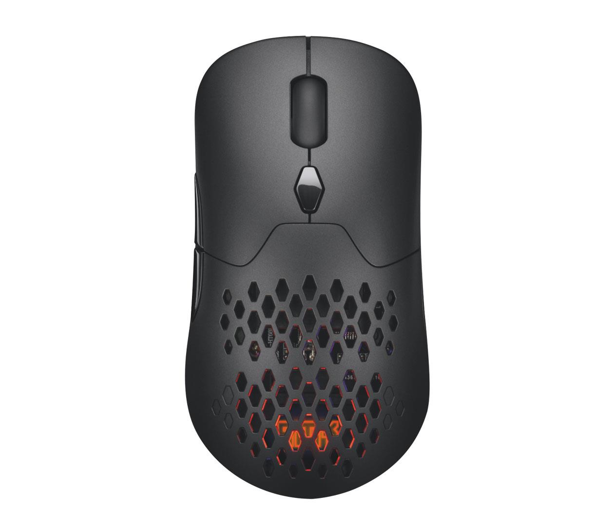 Silver Monkey X Vervet