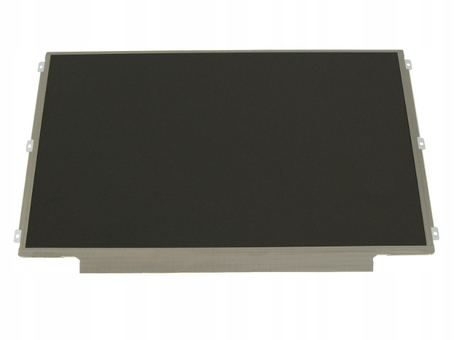 DELL LCD Panel 21,1 Inch