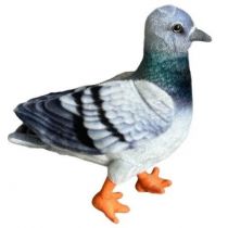 Gołąb niebieski 30cm