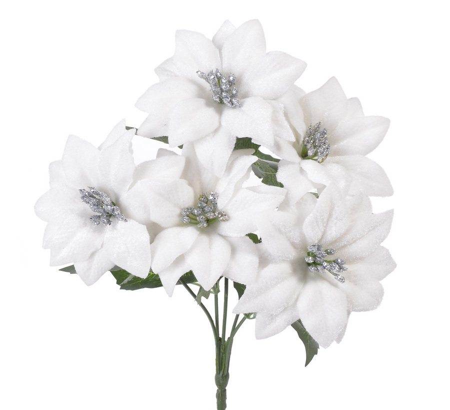 bukiecik poinsecji 22CAN630_101S