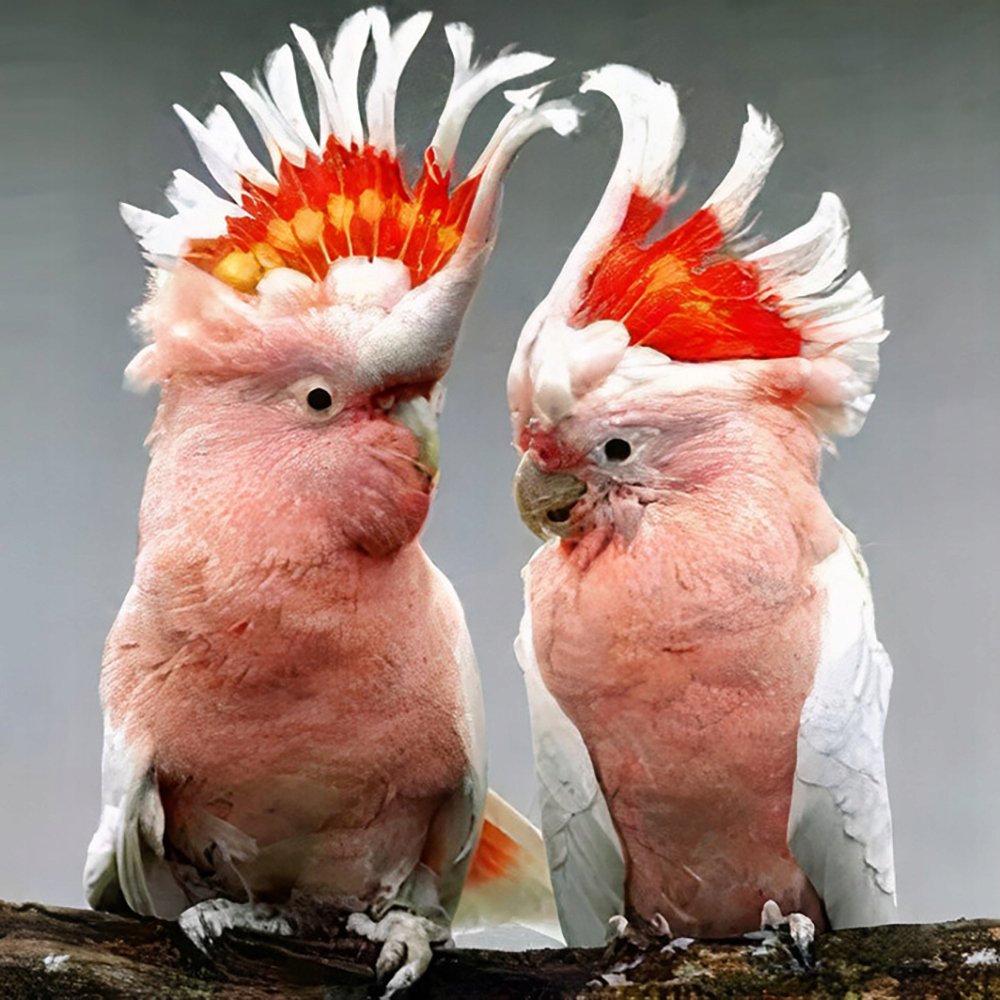 Diamond Painting Haft Diamentowy Mozaika Zestaw 5D