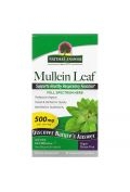 Mullein Leaf - Dziewanna suplement diety