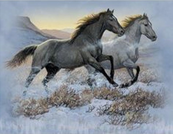 Diamentowa Mozaika Konie Czarny I Biały Galopujące Przez Step 30x40