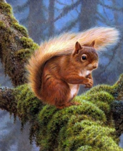 Diamentowa Mozaika Zwierzęta Wiewiórka 30x40