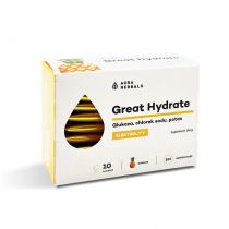 Aura Herbals Great Hydrate - Elektrolity - smak ananasowy 10 sasz.