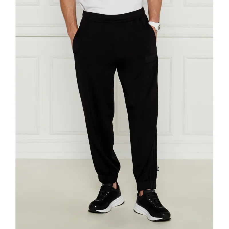 EA7 Spodnie dresowe | Regular Fit