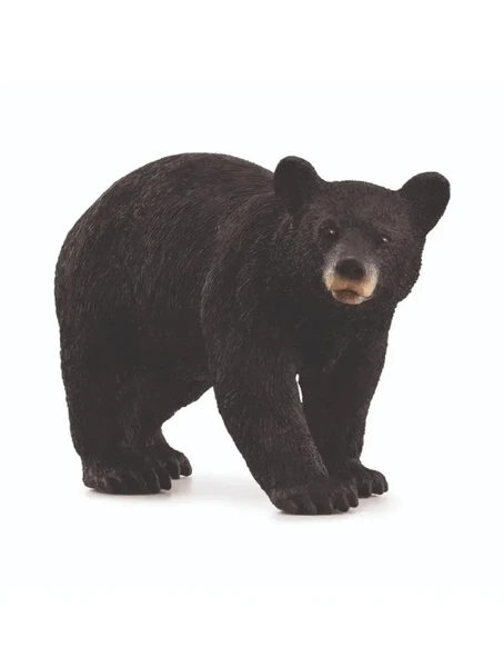 Niedźwiedź czarny - SCHLEICH