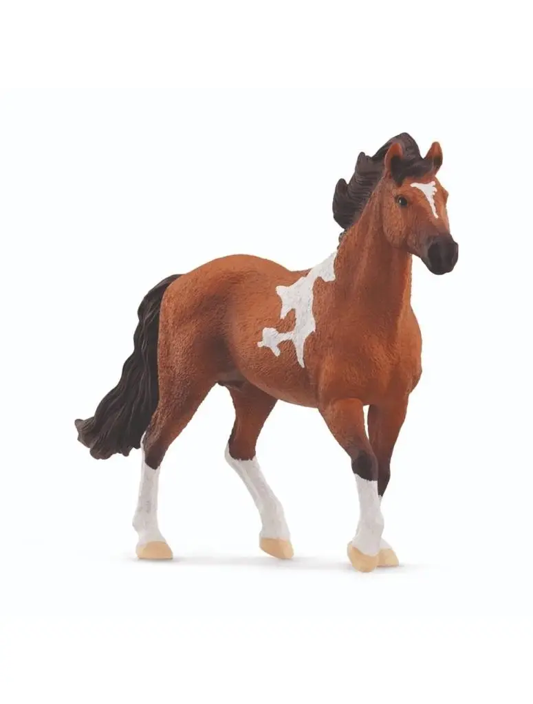 Ogier rasy mangalarga marchador - SCHLEICH