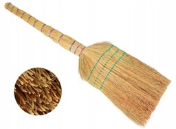 Mała miotła sorgo