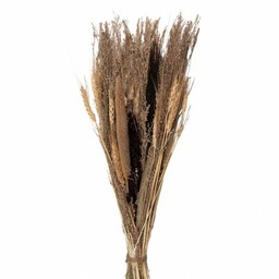 Suszony Bukiet Traw i Zbóż 60 cm Clayre & Eef