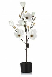 Sztuczna Magnolia w Doniczce Aluro