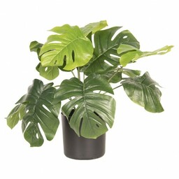 Clayre & Eef Sztuczna Roślina w Doniczce Monstera B CE6PL0212