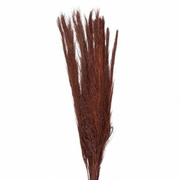 Suszone Trawy Pampasowe Bukiet 85 cm Clayre & Eef
