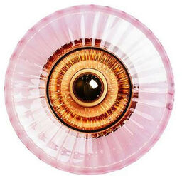 Design By Us - New Wave Optic Lampa Ścienna Rose/Gold Design By Us