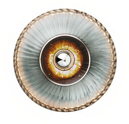 Design By Us - New Wave Optic Lampa Ścienna XL Smoke/Silver Design By Us