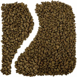 Ginseng żeń-szeń oolong turkusowy (Torba 1 kg, Pakowanie standardowe)