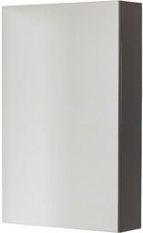 Szafka łazienkowa z lustrem szara 50x80 cm FOKUS NEW