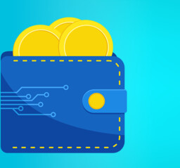 Portfel InsERT 100 InsPunktów