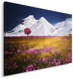 Obraz na płótnie, Alpy góry Włochy 120x80