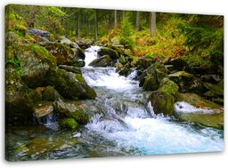 Obraz na płótnie, Górski potok pejzaż natura 60x40