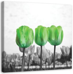 Obraz na płótnie, Zielone tulipany na łące 40x40
