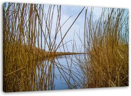 Obraz na płótnie, Jezioro natura pejzaż trzciny 120x80