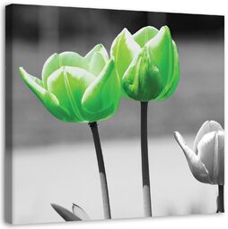 Obraz na płótnie, Zielone tulipany w szarości 60x60