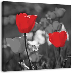 Obraz na płótnie, Czerwone tulipany na szarym tle 60x60