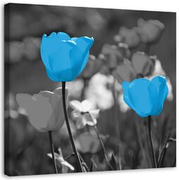 Obraz na płótnie, Niebieskie tulipany na łące 60x60