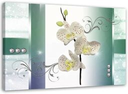 Obraz na płótnie, Biała orchidea kwiat natura 60x40