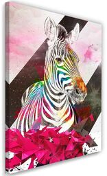 Obraz na płótnie, Abstrakcyjna zebra i kształty 70x100