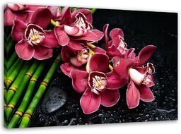 Obraz na płótnie, Orchidea na bambusie 120x80
