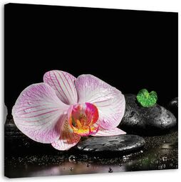 Obraz na płótnie, Kwitnąca orchidea zen 40x40