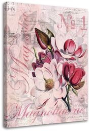 Obraz na płótnie, Magnolie na różowym pergaminie - Andrea Haase 80x120