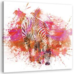 Obraz na płótnie, Pomalowana na kolorowo zebra - Andrea Haase 60x60