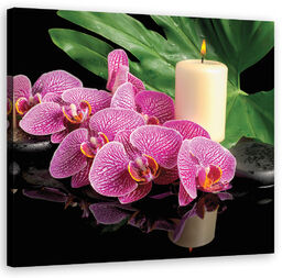 Obraz na płótnie, Różowy Storczyk Świeczki 30x30