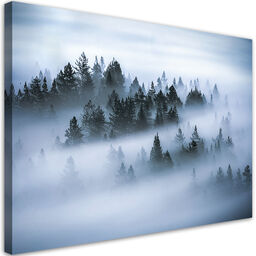 Obraz, Las we mgle pejzaż 120x80