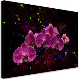 Obraz na płótnie, Orchidea na ciemnym tle 120x80
