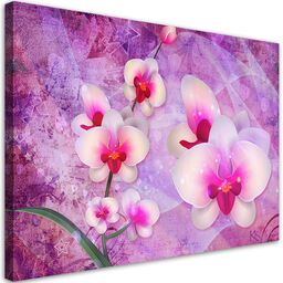 Obraz na płótnie, Orchidea Kwiaty Abstrakcja 120x80