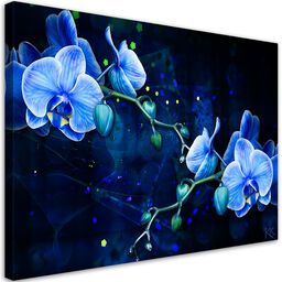 Obraz na płótnie, Niebieski kwiat orchidei 120x80