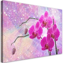 Obraz na płótnie, Eteryczna orchidea abstrakcja 100x70