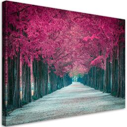 Obraz na płótnie, Różowe drzewa park 90x60