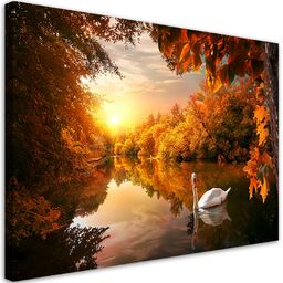 Obraz na płótnie, Łabędź na stawie jesień 90x60
