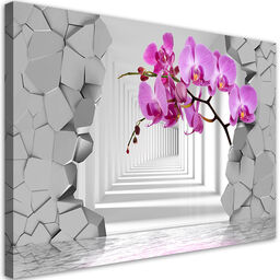 Obraz, Storczyk na abstrakcyjnym tle 3D 120x80