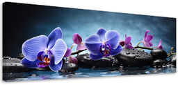 Obraz na płótnie, Niebieska Orchidea Zen 150x50
