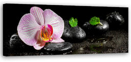 Obraz na płótnie, Kwitnąca orchidea zen 150x50