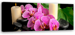 Obraz na płótnie, Orchidea Storczyk Świeczki 150x50
