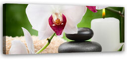 Obraz na płótnie, Orchidea Kwiaty Zen 150x50
