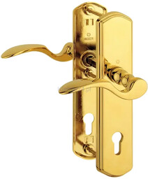 Klamka-klamka Munchen ze stalową tarczą zabezpieczającą, 77-82 mm, kolor złoty błyszczący, wersja prawa