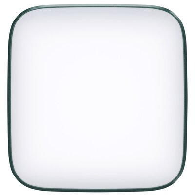 Newell Campina Zielona